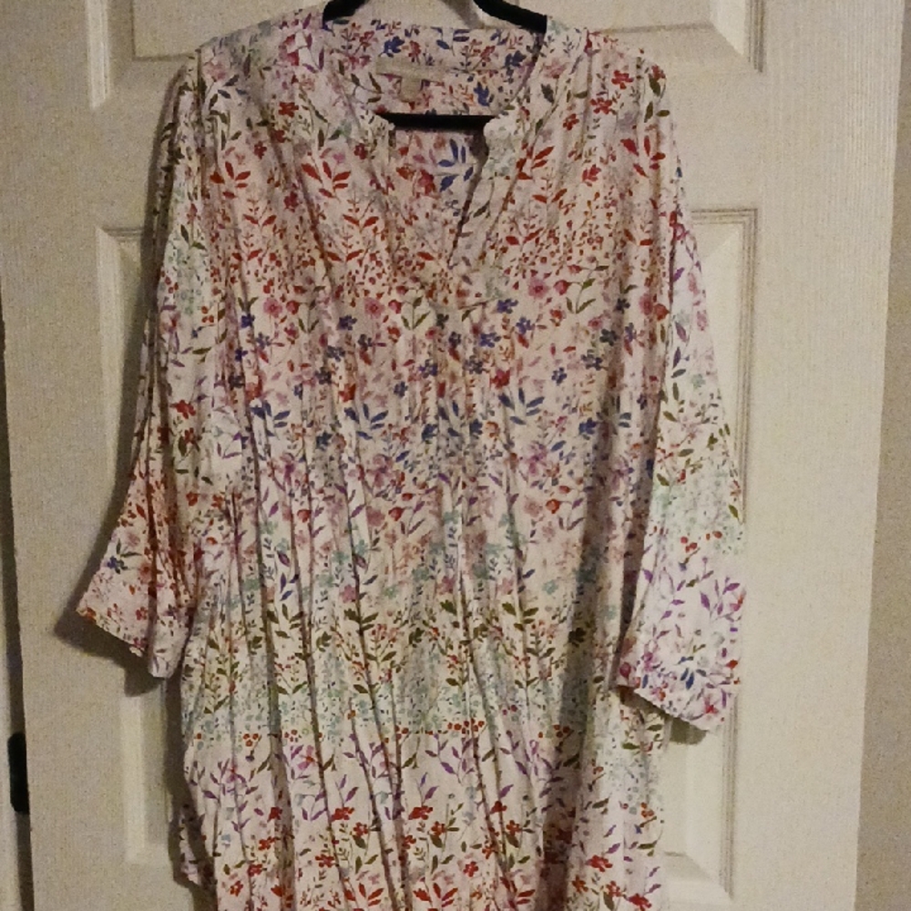 Woman Within Red and Blue Floral Blouse